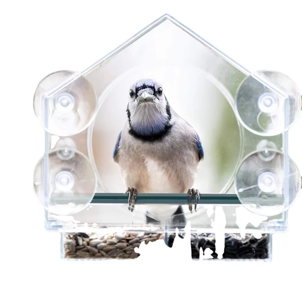 Clear Acrylic Window Bird Feeder – Transparent Hanging Seed Feeder for Windowsills & Glass Surfaces